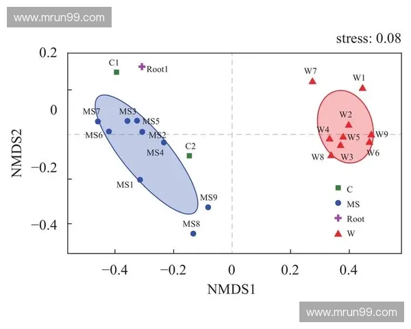 基于距离压制理论的现代战术应用与军事战略分析